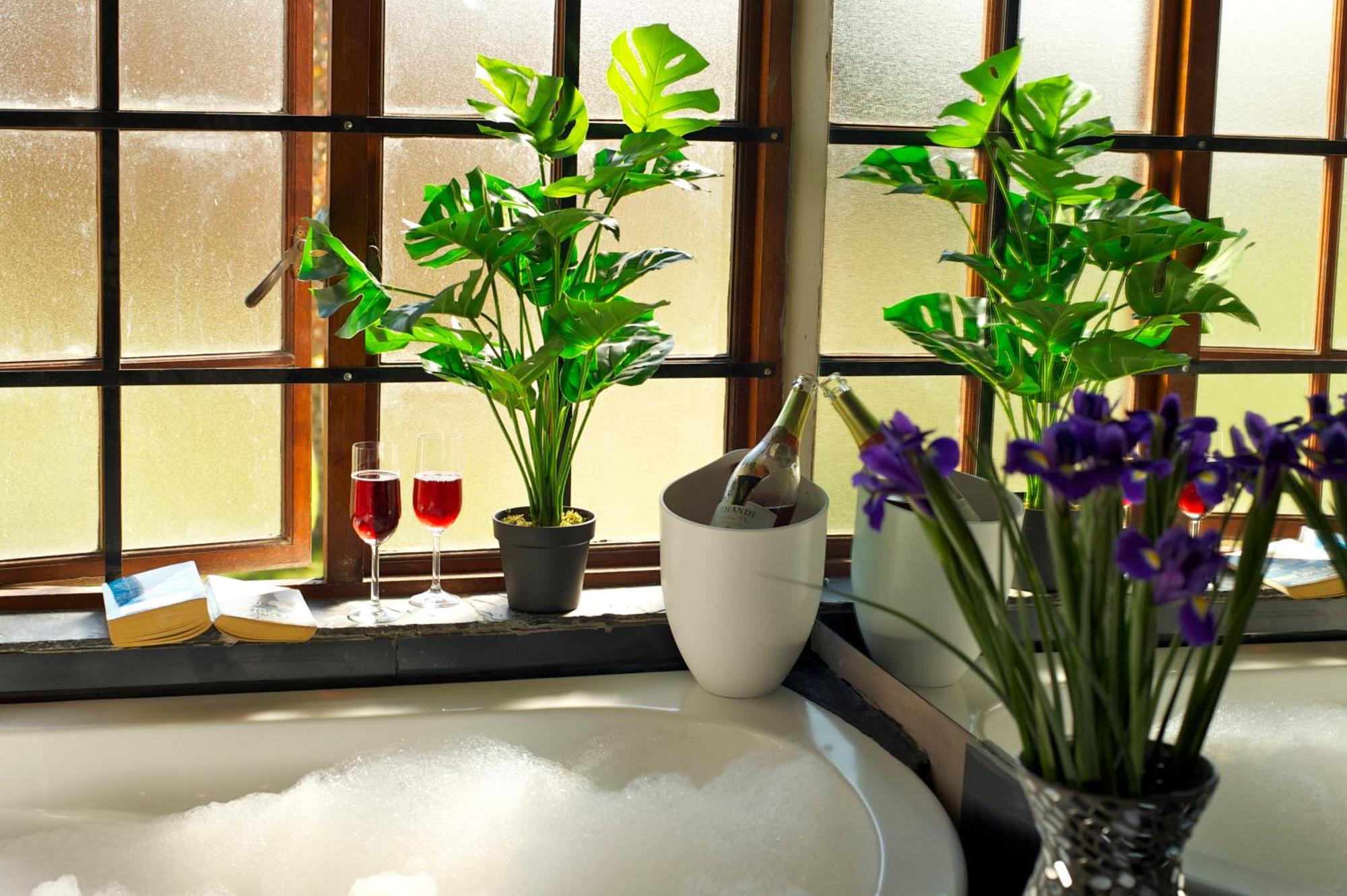 Boord Guest House Stellenbosch Dış mekan fotoğraf